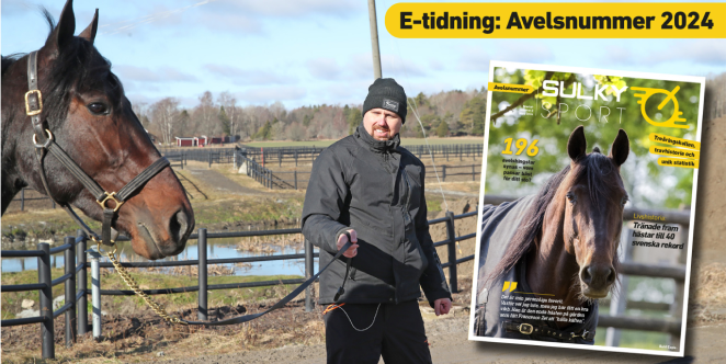 An article image of a man and a horse, standing outside on a sunny day. 